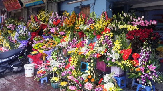 Flowers of Hanoi