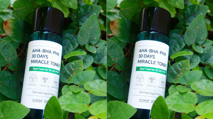 Read more about the article review // some by mi 30 days miracle toner